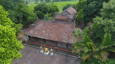 Vua Lê Trung Tông: Cái chết oan khuất sau 3 ngày ở ngôi 