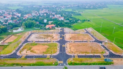 Hà Nội đấu giá xong 33 lô đất, cao nhất gần 53 triệu/m2