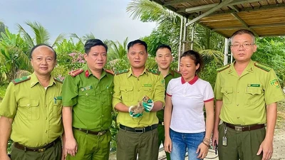 Người dân giao nộp cá thể cu li nhỏ quý hiếm
