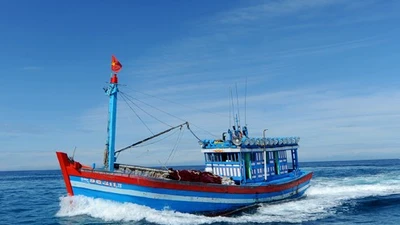Lặn xuống gỡ lưới vướng chân vịt, một ngư dân mất tích