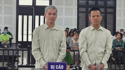 Tạo vỏ bọc tập đoàn nghìn tỷ để lừa đảo, gã bán rau lĩnh án chung thân