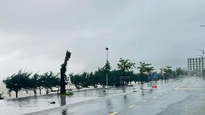 Bão số 5 chưa vào, Hà Tĩnh đã có mưa to, gió lớn