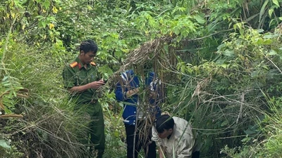 Tìm thấy thi thể bé gái 2 tuổi mất tích ở Lâm Đồng