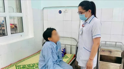 Bị khỉ tấn công, bé gái ở Quảng Trị nhập viện cấp cứu 