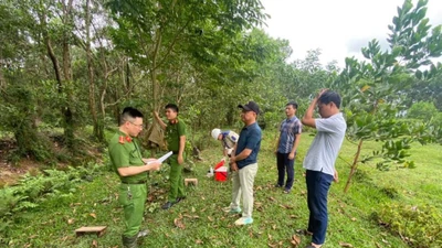 Vi phạm môi trường, 3 đơn vị bị xử phạt gần 150 triệu đồng