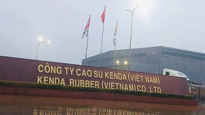  Vì sao Công ty Cao su Kenda Việt Nam bị phạt 320 triệu đồng?