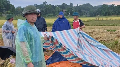 Liên tiếp xảy ra sét đánh khiến 2 người tử vong ở Hà Tĩnh
