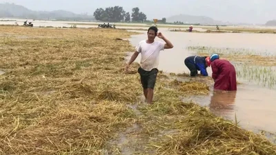 Mưa lũ bất thường gây thiệt hại lớn ở Hà Tĩnh