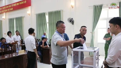 Quốc Oai đấu giá thành công 75.900 m2 đất nông nghiệp