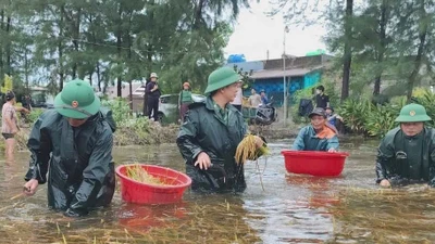 Mưa lũ làm 3 người tử vong ở Quảng Trị
