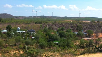 Một chủ tịch phường ở Bình Thuận bị đình chỉ công tác
