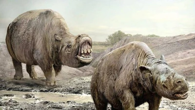 Loài thú tuyệt chủng Toxodon gây tranh cãi vì ngoại hình lai tạp