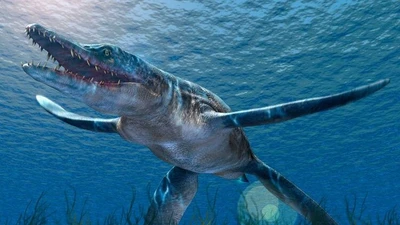 Cú đớp chết chóc của loài “thuồng luồng” dài 13 mét