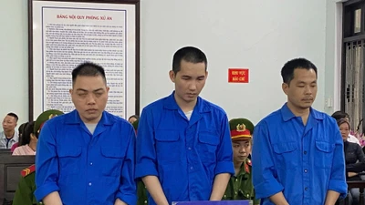 Thuê xe ô tô mang đi cầm cố, 3 bị cáo lĩnh 19 năm tù