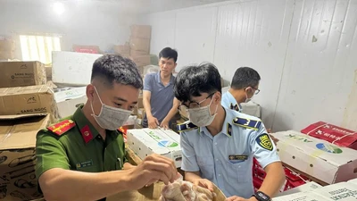 Thu giữ gần 4 tấn thực phẩm đông lạnh không rõ nguồn gốc