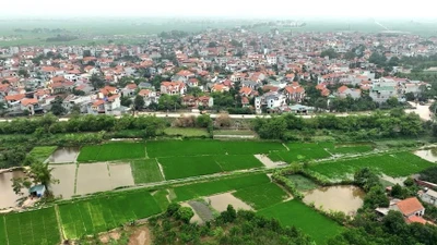 Phú Thọ đưa 33 lô đất lên sàn, khởi điểm 5 triệu đồng/m2