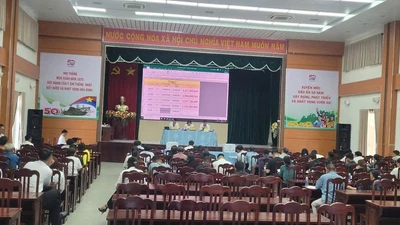 Đấu giá thành công 57 lô đất, Xuyên Mộc thu hơn 75 tỷ đồng