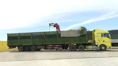 Chở vượt tải trọng, chủ và tài xế xe tải bị phạt 333 triệu đồng