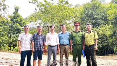Vườn Quốc gia Vũ Quang tiếp nhận 4 cá thể động vật quý hiếm