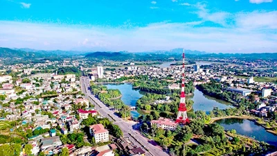 Đấu giá thành công 103 lô đất, Tuyên Quang thu về hơn 336 tỷ