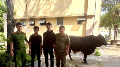 Bắt 2 đối tượng trộm bò của người dân ở Lâm Đồng