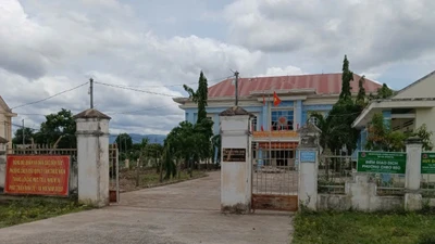 Thanh tra vụ cưa cây tại trụ sở phường trước khi sáp nhập