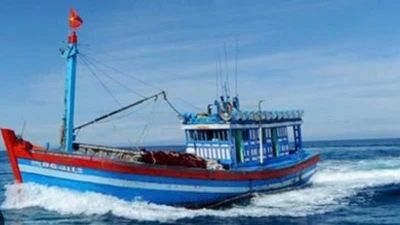 Tìm kiếm tàu cá Gia Lai cùng 8 thuyền viên mất liên lạc 2 ngày