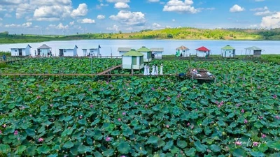 Hồ Ia Băng tuyệt đẹp mùa hoa sen nở