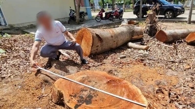 Nguyên Bí thư và Chủ tịch phường được yêu cầu làm bản tự kiểm