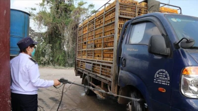 Gia Lai thành lập 4 chốt kiểm soát dịch bệnh động vật