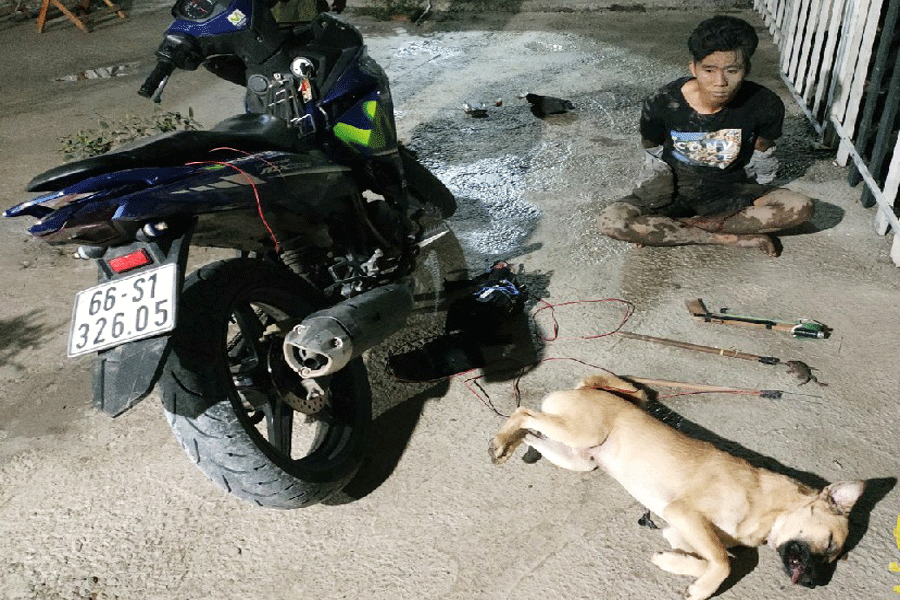 Kẻ trộm chó dùng súng tự chế bắn lực lượng công an: Công an huyện Tân Phước, Tiền Giang đang điều tra vụ 2 thanh niên trộm chó dùng súng bắn điện tự chế bắn trả lực lượng công an đang làm nhiệm vụ. Khoảng 2h50 ngày 21/5 Công an xã Phước Lập phát hiện 2 đối tượng đi xe mô tô có nghi vấn, khi kiểm tra đã bị 2 đối tượng này bỏ chạy, dùng súng bắn điện chống trả. Bị bắt giữ, Đối tượng Đinh Văn Sơn (SN 1997, xã Tân Khánh Đông, TP Sa Đéc, Đồng Tháp) khai nhận thường đi trộm chó để lấy tiền tiêu xài.
