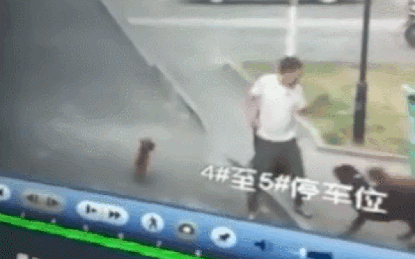 Cố bảo vệ thú cưng, người đàn ông bị chó cắn trọng thương Co bao ve thu cung, nguoi dan ong bi cho can trong thuong