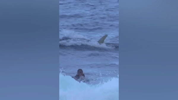 Thot tim khoanh khac nguoi dan ong bi ca map truy duoi tren bien