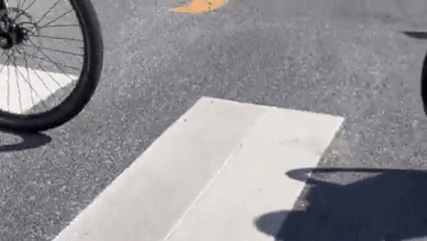 Tong thong Biden nga xe dap, Nha Trang: “Ngai ay on“