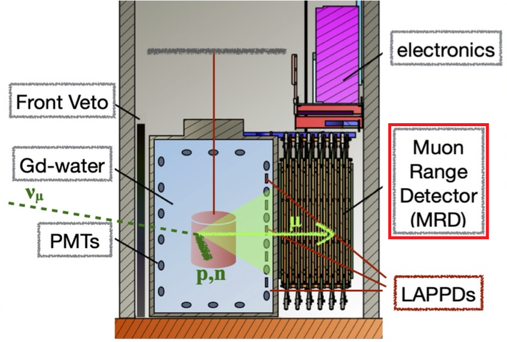 Khi một neutrino va chạm với hạt nhân nguyên tử trong nước, nó có thể tạo ra muon – một hạt hạ nguyên tử có khả năng phát ra bức xạ Cherenkov. Bằng cách quan sát ánh sáng này, các nhà khoa học có thể xác định được đường đi cũng như năng lượng của neutrino ban đầu. Ảnh: CERN