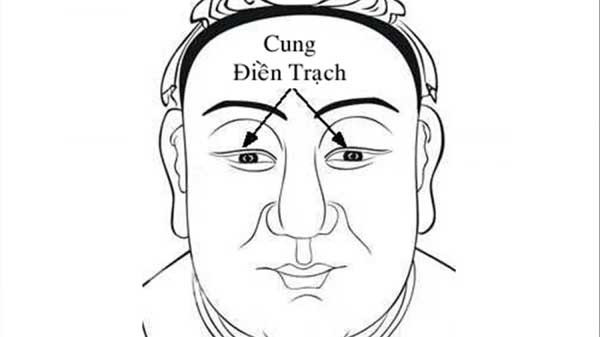 Cung điền trạch rộng: Trong nhân tướng học, cung điền trạch là khoảng cách từ mắt đến lông mày. Nhìn vào vị trí này, người ta có thể đưa ra dự đoán về khả năng tích lũy tài sản, nhà đất của một người.