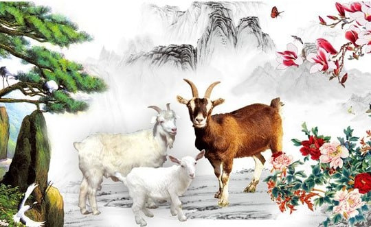 Không chỉ vậy, họ còn có tinh thần trách nhiệm cao trong bất kỳ công việc gì, vì vậy đều đạt kết quả tốt. Nhìn chung, đây là mẫu người có chí hướng và có thể làm nên sự nghiệp từ 2 bàn tay trắng. Trong công việc, họ dễ được thăng chức, tăng lương vì được cấp trên tin tưởng.