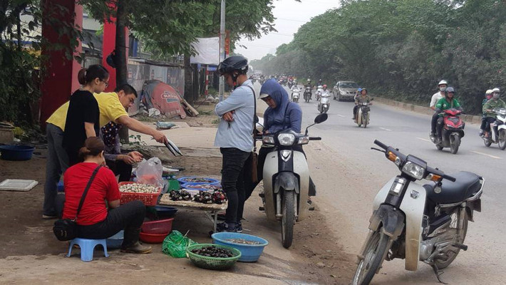 Hải sản cũng được đổ bộ trên đường.