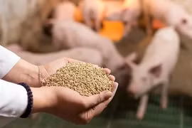 Doanh nghiệp, hiệp hội chung tay giữ nhịp sản xuất nông nghiệp