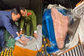 Phát hiện, thu giữ 10 tấn thực phẩm 'bẩn' ở Hà Nội 