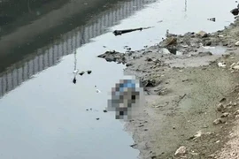 Phát hiện thi thể người đàn ông trên sông Tô Lịch