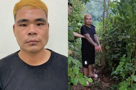 Bắt đối tượng rủ đồng bọn thực hiện nhiều vụ trộm cắp tài sản ở Hà Nội