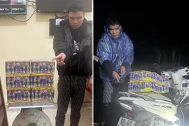 Liên tiếp khởi tố 2 đối tượng tàng trữ pháo nổ trái phép ở Tuyên Quang