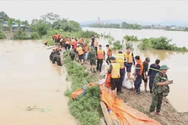 Mưa lũ lớn sau bão số 11 đã làm ảnh hưởng 59 sự cố đê tại nhiều tỉnh, thành