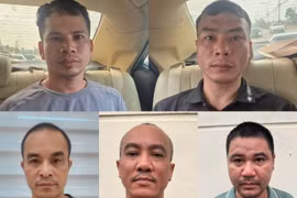 Đường dây của nhóm đối tượng trộm hơn 300 con mèo hoạt động ra sao?