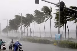 Áp thấp nhiệt đới sẽ mạnh thành bão số 5, giật cấp 14 còn có thể mạnh thêm