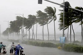Áp thấp nhiệt đới sẽ mạnh thành bão số 5, giật cấp 14 còn có thể mạnh thêm