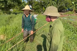 Xử phạt 12 triệu đồng đối với 3 trường hợp dùng kích điện khai thác thủy sản 