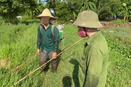 Xử phạt 12 triệu đồng đối với 3 trường hợp dùng kích điện khai thác thủy sản 