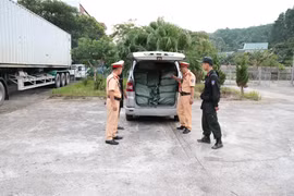 Phát hiện gần 850kg xúc xích không rõ nguồn gốc xuất xứ ở Lạng Sơn